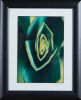 FELICITY PEARSON untitled - 2