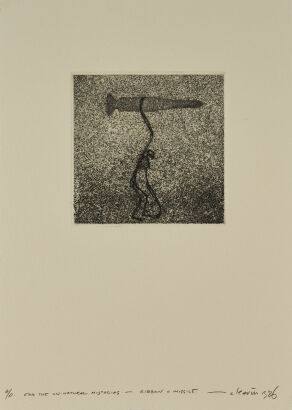 BARRY CLEAVIN For the Un-natural Histories - Gibbon & Missile