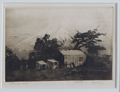 CONNIE LLOYD Taranaki