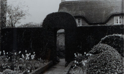 RHONDDA BOSWORTH Study Taken at Sissinghurst