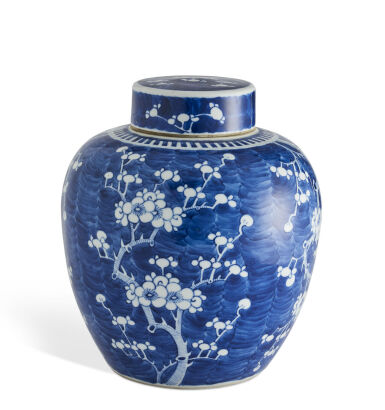 A Qing Dynasty Porcelain Ginger Jar