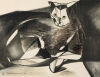 LOUISE HENDERSON untitled