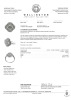 18ct White Gold Modern, 1.03ct Total Diamond Cluster Ring - 2