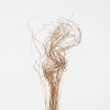 A Decorative Freestanding Curly Reeds - 2