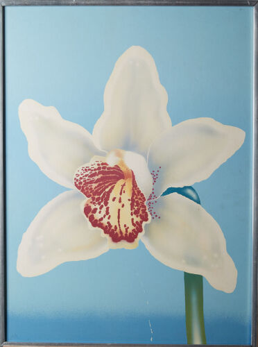 An Airbrushed Orchid Print In Aluminium Frame