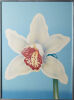 An Airbrushed Orchid Print In Aluminium Frame