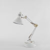 A LTS Anglepoise Lamp