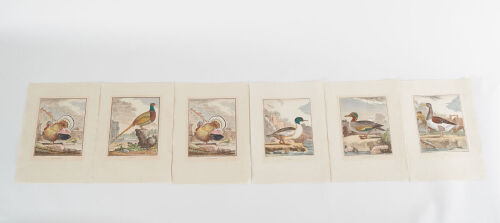 Jacques de Seve, A Set of Six Bird Prints