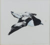 RUSSELL JACKSON Cape Pigeon