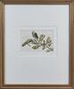 RUSSELL JACKSON Young Green Tree Gecko - 2