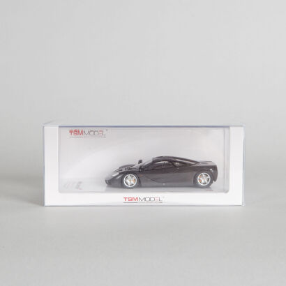 TSM McLaren F1 XP-1 1:43