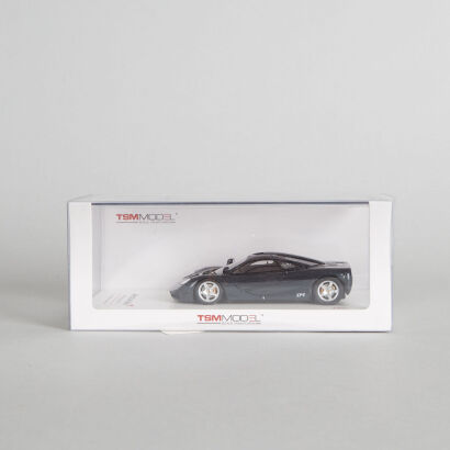 TSM McLaren F1 XP-4 1:43
