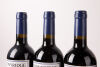 (6) 2007 Stonyridge Larose, Waiheke - 4