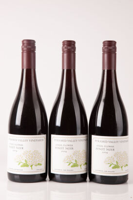 (3) 2009 Pyramid Valley Pinot Noir Angel Flower,Waipara