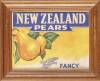 Two New Zealand Pears and Apples Framed Prints Plus 1950 'Calvert' the Magician Poster - 3