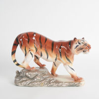 An Aquila Tiger on a Rock