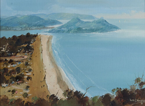 PETER J WALLERS Overlooking Pauanui