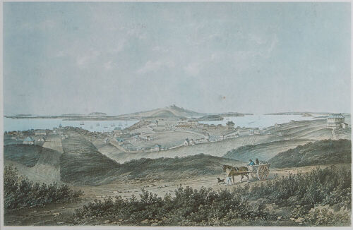 P J HOGAN No.1 Auckland New Zealand from Hobson Street South