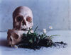 DEREK HENDERSON Them Bones, them Bones, them dry Bones