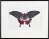 Deiphobus Gothic Butterfly Lithograph