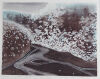 MARILYNN WEBB Snow, Beach Forrest and Waipuri River