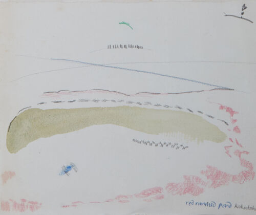 JOANNA MARGARET PAUL Red Rimmed Pond