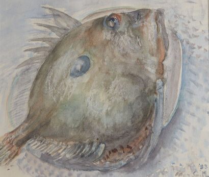 MAY SMITH John Dory