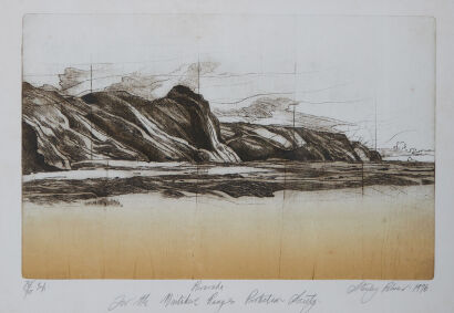 STANLEY PALMER Pararaha: For the Waitakere Ranges Protection Society