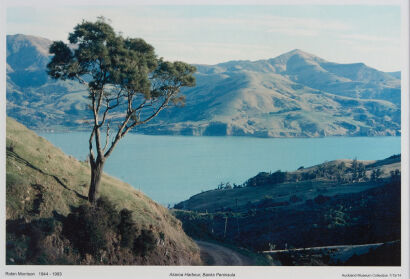 ROBIN MORRISON Akaroa Harbour, Banks Peninsula