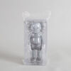 KAWS Companion