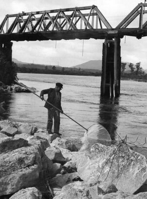 UNKNOWN PHOTOGRAPHER FOR SYDNEY MORNING HERALD A typical NZ whitebaiter netting near bridge just outside Greymouth town.