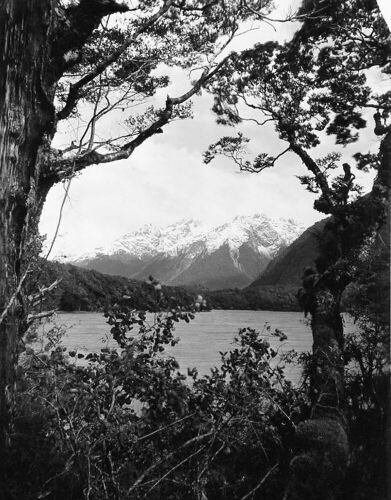 UNKNOWN PHOTOGRAPHER Looking South from Lake Gunn towards Livingstone Range, South Island, New Zealand