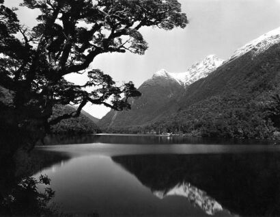 UNKOWN PHOTOGRAPHER Lake Fergus, South Island, New Zealand