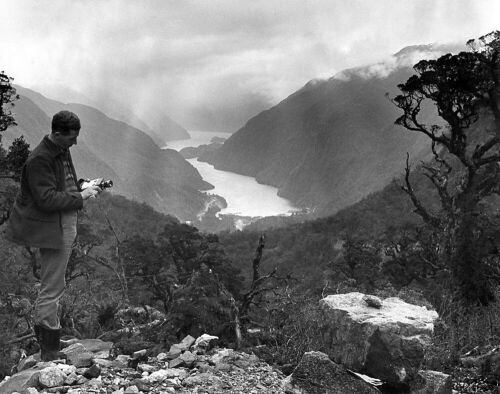 JAMES L. ANDERSON A worker makes movies at Deep Cove, from Wilmott Pass, on his day off.
