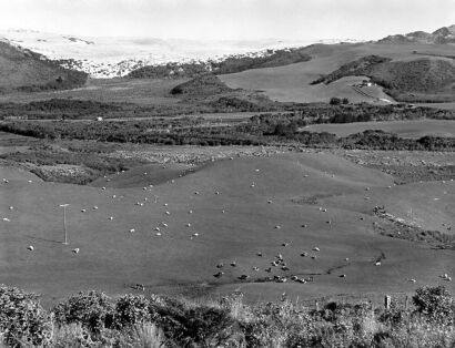 UNKNOWN PHOTOGRAPHER Māori land development. Pontu Scheme, Kaipara Harbour, approximately 35 miles from Dargaville.