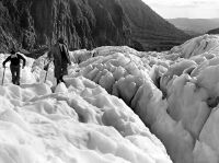 UNKNOWN PHOTOGRAPHER FOR NEW ZEALAND HERALD Terrific pressures torture the ice of Westland's Fox Glacier into fantastic yet beautiful forms.