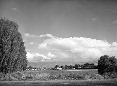 UNKNOWN PHOTOGRAPHER FOR NEW ZEALAND DEPARTMENT OF INTERNAL AFFAIRS Otaki, a centre rich in market gardens.