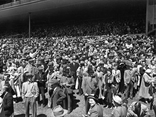 GREEN AND HAHN PHOTOGRAPHY, LTD. A panoramic crowd