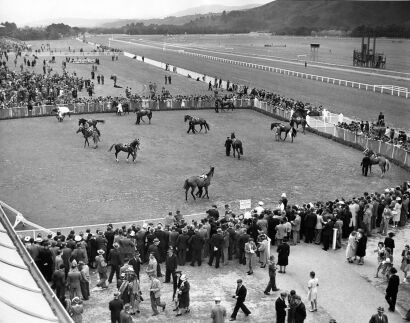 UNKNOWN PHOTOGRAPHER Parade of starters in saddling enclosure, from top of members' stand