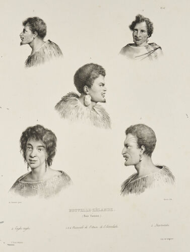 Nouvelle-Zelande By Louis Auguste De Sainson