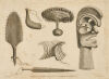 Various Articles At The Sandwich Islands by John Webber