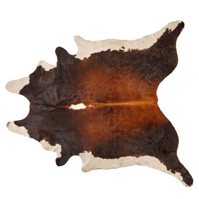 A Cow Hide Rug