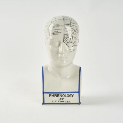 A Contemporary Phrenology Head