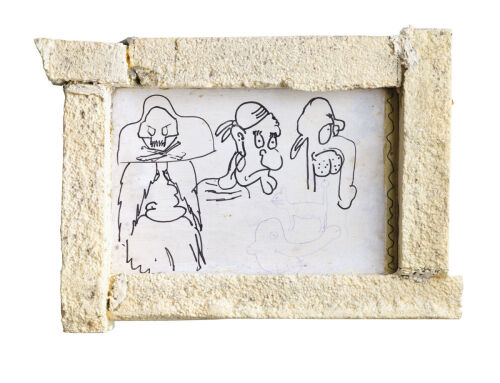 DAN ARPS Pirate Study