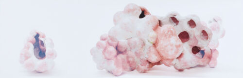 SUJI PARK untitled
