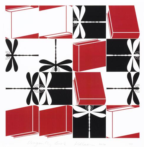 RICHARD KILLEEN Dragonfly Book