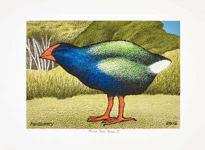 DON BINNEY Moutapu Takahe Release III