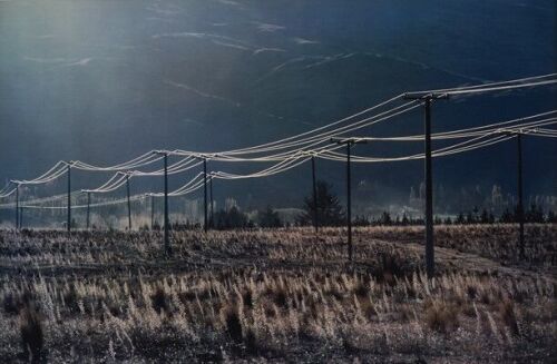 ROBIN MORRISON untitled