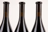 (3) 2011 Dry River Syrah, Martinborough - 3