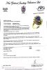 18ct Yellow Gold Modern .84ct Sapphire and Diamond Ring - 2
